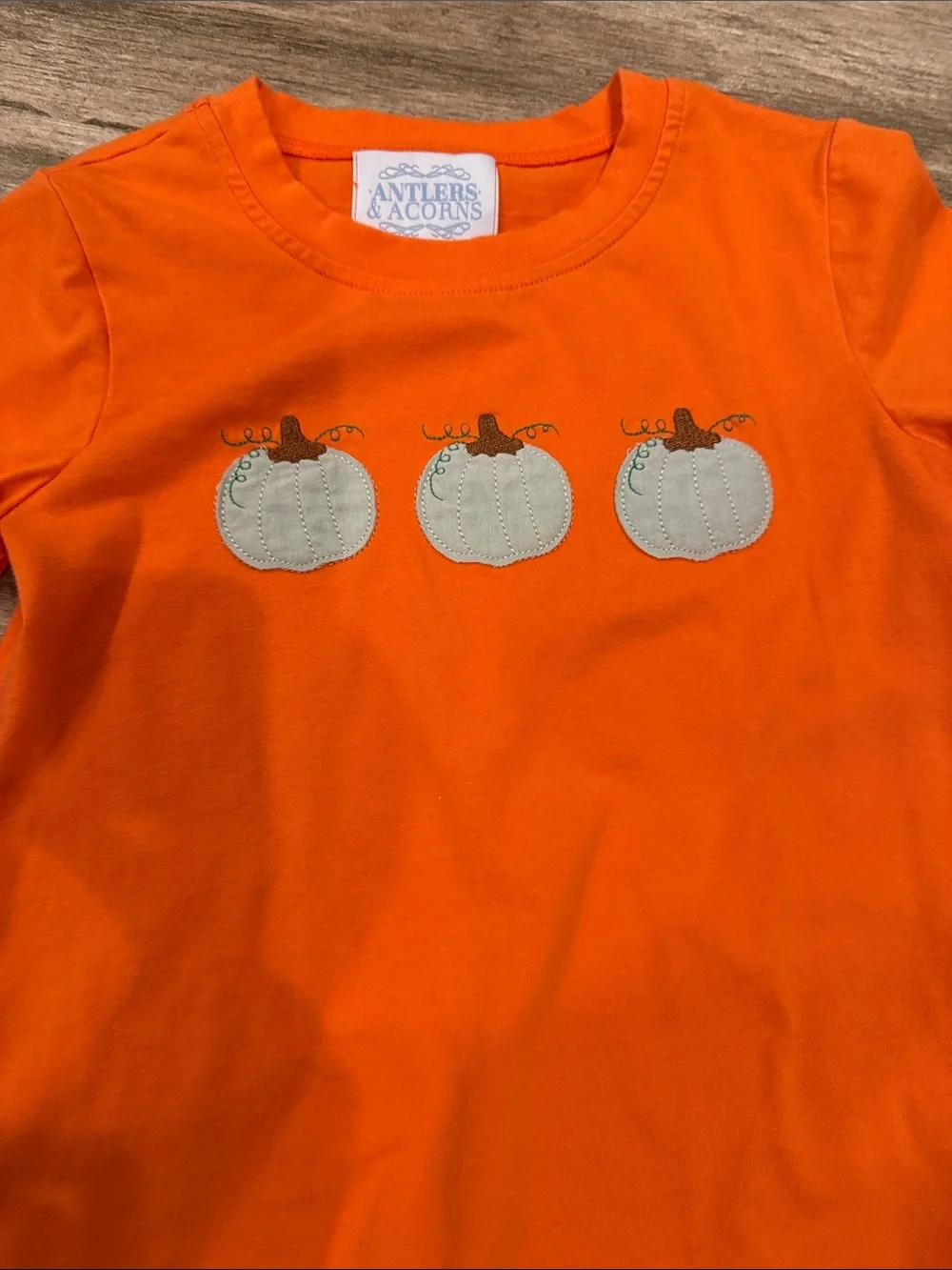 Antlers & Acorns Orange Pumpkin Tee & Mint Stripe Shorts Set Sz 4